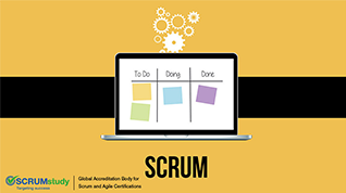 why scrum